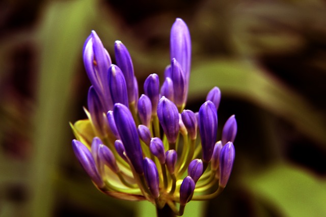 为冲击欧冠 为冲击欧冠