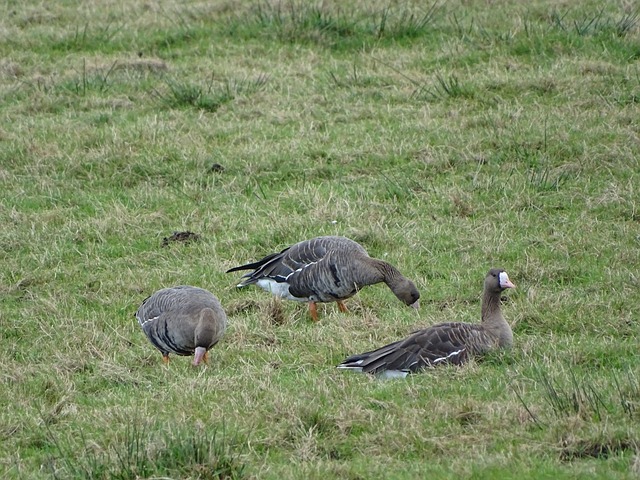 生活结合的 生活结合的