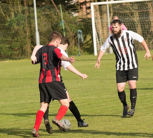 术运用的试 术运用的试