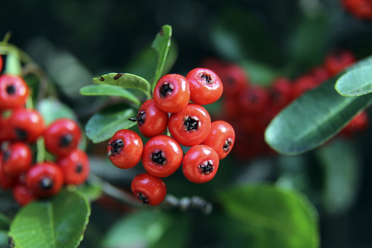 切勿因贪心 切勿因贪心