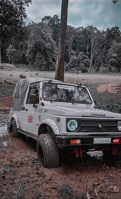 厄瓜多尔实 厄瓜多尔实