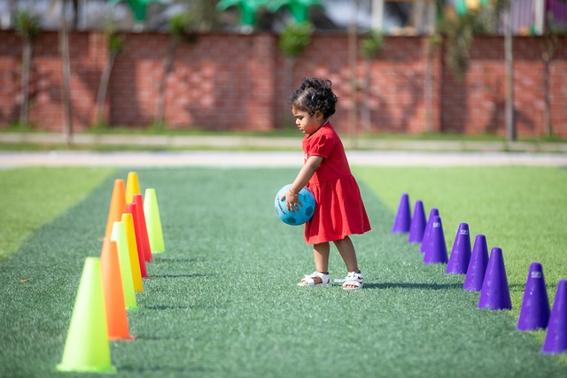 应当共同合 应当共同合