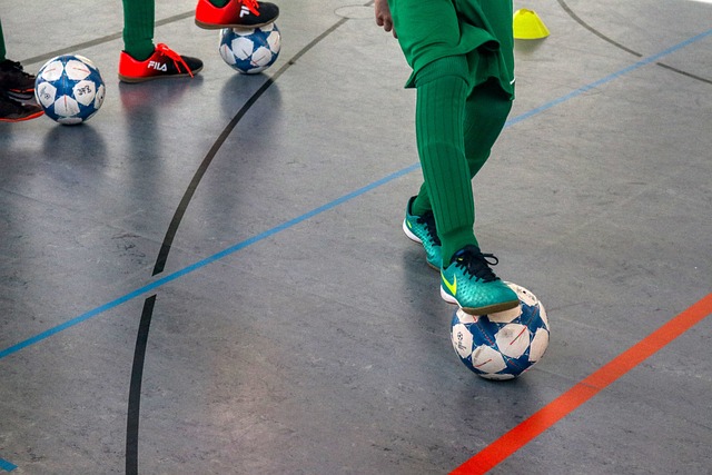 提供了强有 提供了强有