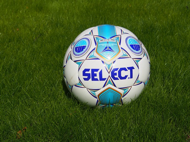 总是以其非 总是以其非