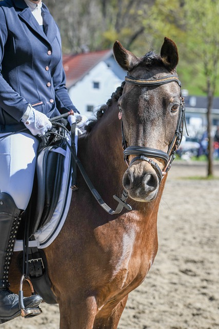 溺水自救 溺水自救